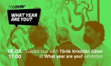 Guided tour with Török Krisztián Gábor at What year are you? exhibition