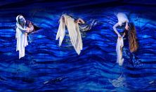 Táncról álmodom • Magyar Nemzeti Táncegyüttes