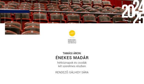 Tamási Áron: Énekes madár