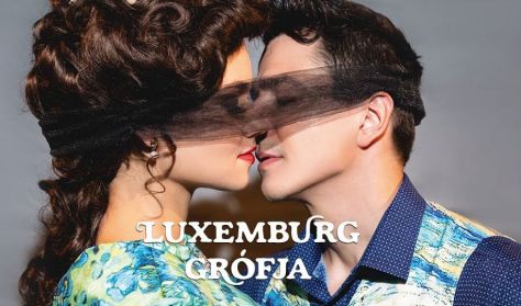 Luxemburg grófja