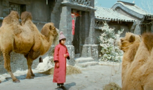 2024 Imázsia Kínai Filmhét: Pekingi történet