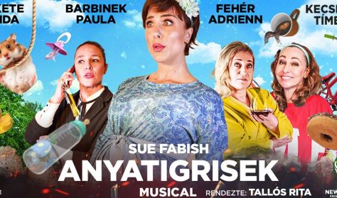 Anyatigrisek - musical