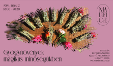 Budapest Galéria Gyógynövények mágikus minőségükben