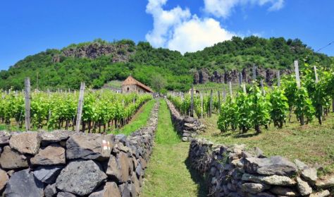 BWG - Balaton Wine & Gourmet Fesztivál / VULKÁNOK LANKÁIN - mesterkurzus -