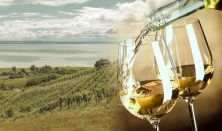 BWG - Balaton Wine & Gourmet Fesztivál / ÉSZAK DÉL ELLEN - mesterkurzus -