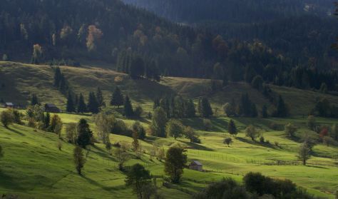 Közösség és népi gyógyászat Gyimesben - Szabadegyetem