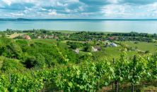 BWG - Balaton Wine & Gourmet Fesztivál / BALATON MÁSKÉP