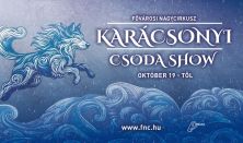 Karácsonyi CsodaShow-Magic around Christmas