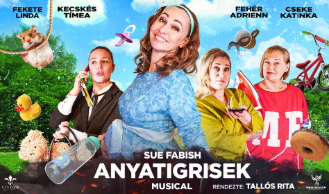 Anyatigrisek - musical