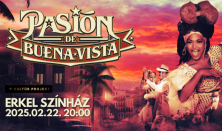 Pasión de Buena Vista