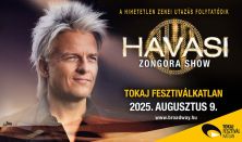 HAVASI koncert show 2025