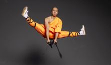 The Mystical Forces of Shaolin Kung Fu