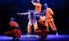 The Mystical Forces of Shaolin Kung Fu