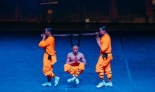 The Mystical Forces of Shaolin Kung Fu