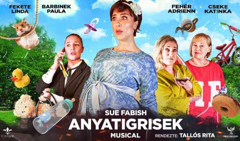 Anyatigrisek - musical