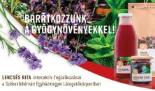 Immunerősítés gyógynövényekkel