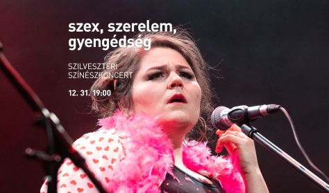 Szex, Szerelem, Gyengédség - Szilveszteri Színészkoncert