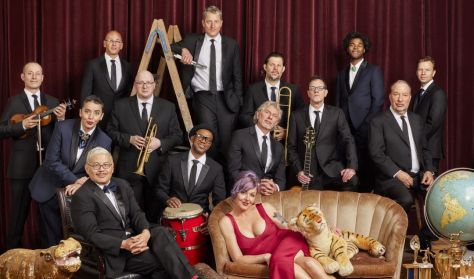 PINK MARTINI