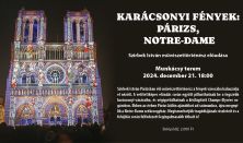 Karácsonyi fények: Párizs - Notre Dame