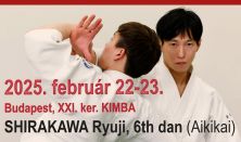 Beautiful Aikido Festival Daily Ticket 02.22. /napijegy