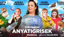 Anyatigrisek - musical