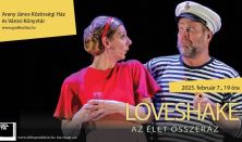 Loveshake - Az élet összeráz