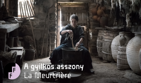 15. Frankofón Filmnapok: A gyilkos asszony