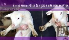 MECÉNÁS EST 2025/2026