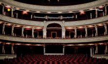 Szegedi Kortárs Balett - Müpa: Amadeus