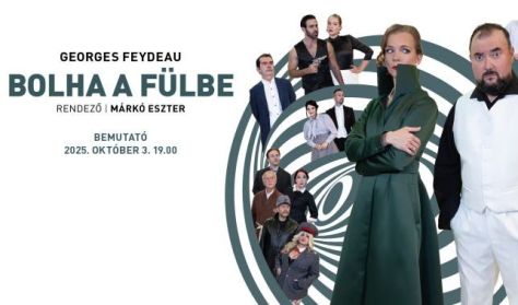 Bolha a fülbe