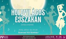 Holdvilágos éjszakán