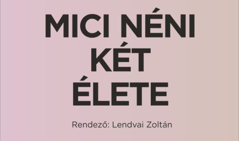 Hámos György - Ruttkay Zsófia: Mici néni két élete bemutató