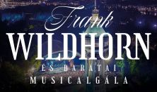 DUNA SZIMFÓNIA – FRANK WILDHORN ÉS BARÁTAI MUSICALGÁLA