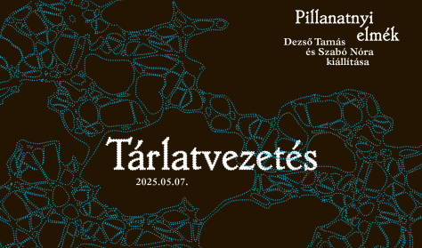 Budapest Galéria | Pillanatnyi elmék / Tárlatvezetés a művészekkel és a kurátorral