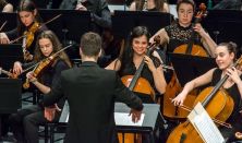 Tutti - Konzis koncertek