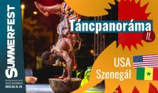 Táncpanoráma II. - Szenegál, USA