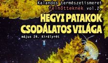 Hegyi patakok varázslatos világa