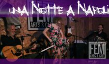 Una Notte a Napoli