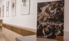 Tárlatvezetés Molnár László József 50 év