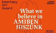 Tárlatvezetés angol nyelven az Esterházy Art Award című kiállításban
