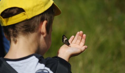 Lepkés séta családoknak Lepkés séta családoknak