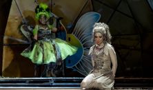 Rumini Ferrit-szigeten