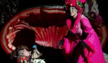 Rumini Ferrit-szigeten