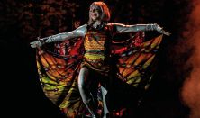 Rumini Ferrit-szigeten