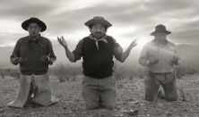 Gaucho Gaucho