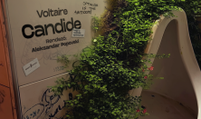 Candide