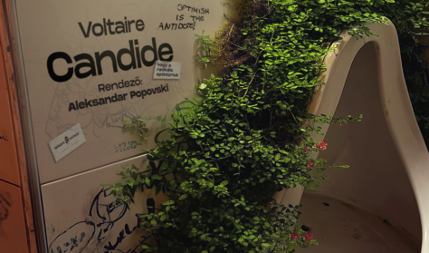 Candide