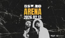 BSW 20