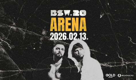 BSW 20 BSW 20
