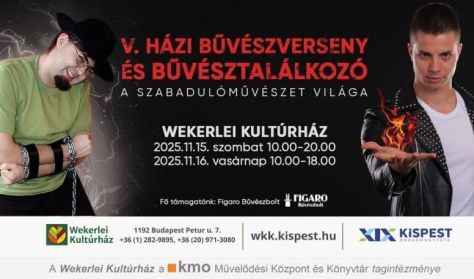 V. Házi Bűvészverseny és találkozó